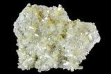 Plate Of Gemmy, Chisel Tipped Barite Crystals - Mexico #84419-1